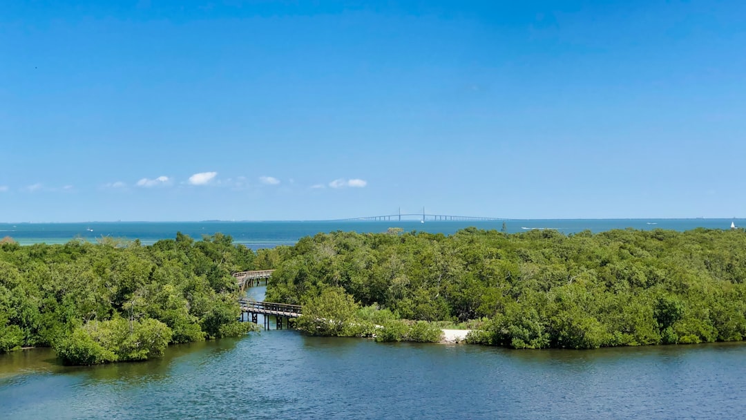 white wooden dock on river during daytime
